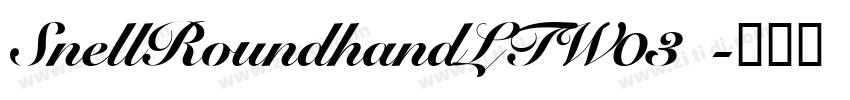 SnellRoundhandLTW03 字体转换